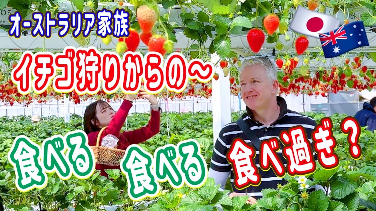 いちご狩りだけじゃ足りない国際家族が鎌倉になだれ込んで食べ歩き