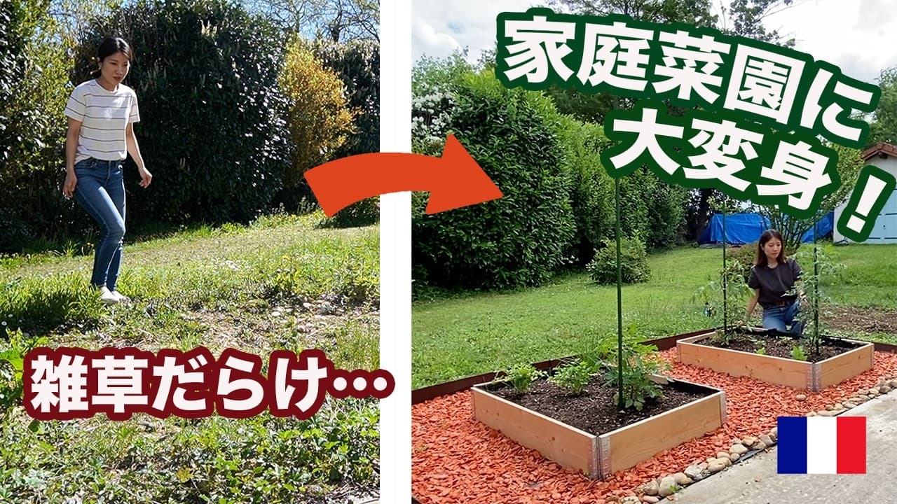 【庭DIY】雑草だらけの庭に家庭菜園を作ったらこんなに変わった!